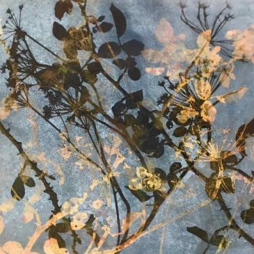 A Penwith Hedge in Art Sara Bevan, Amanda Richardson